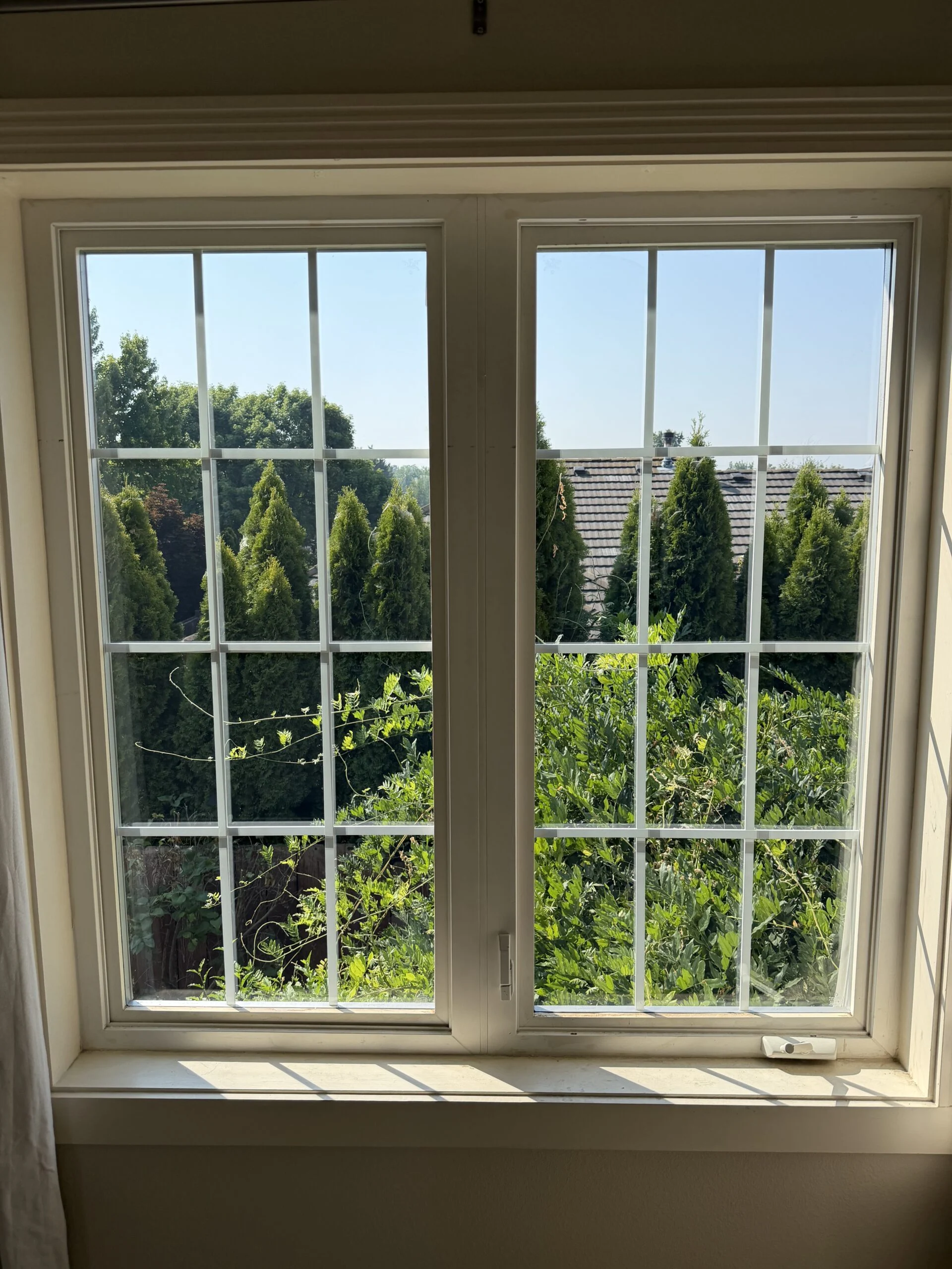 White double casement windows with grids facing green trees